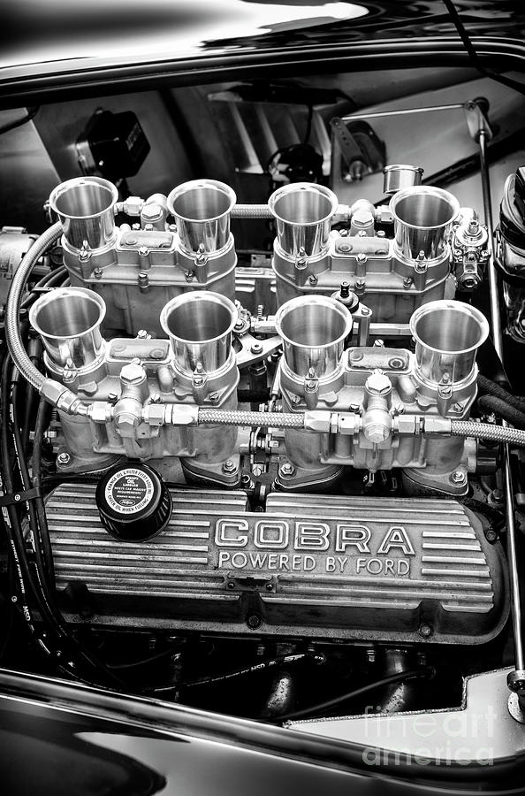 AC Cobra MkII Engine Monochrome Photograph by Tim Gainey