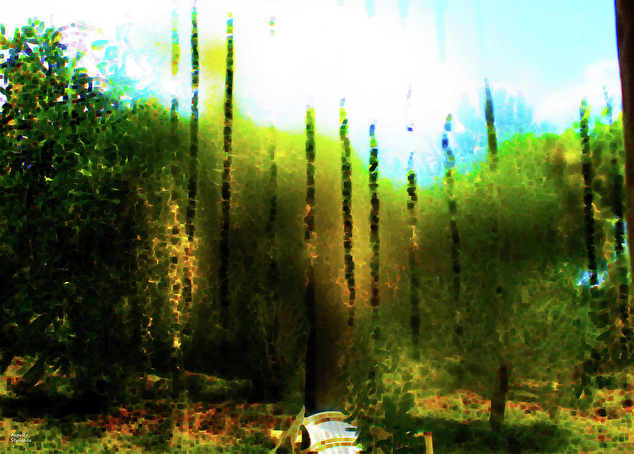 Acacia Garden Digital Art by Augusta Stylianou