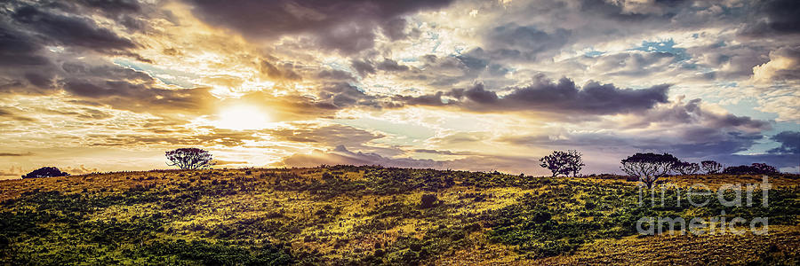 Acacia Sunset Hluhluwe Photograph by Stefan H Unger