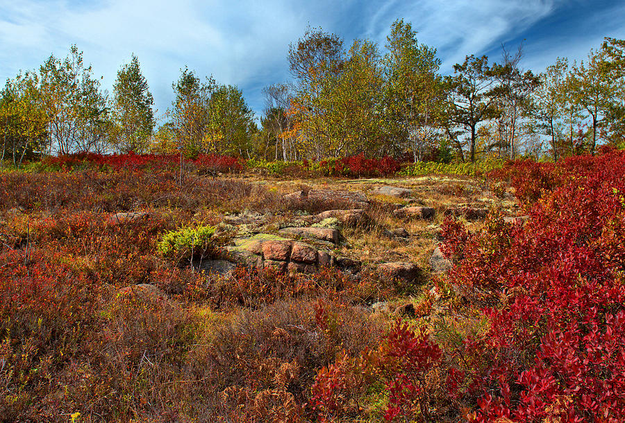 Acadia Autumn Colors 2 Photograph by Stephen Vecchiotti