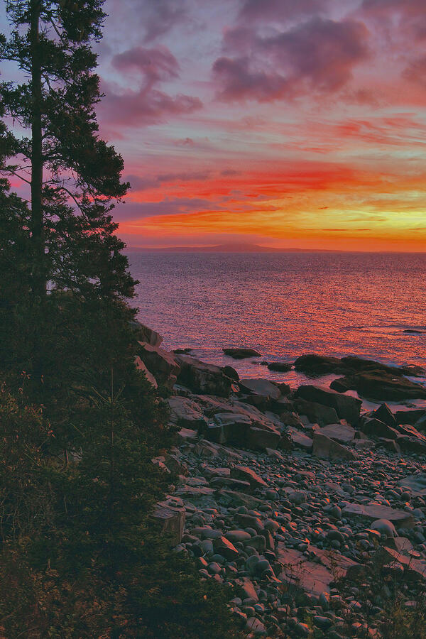 Acadia Boulder Beach Sunrise Photograph by Stephen Vecchiotti - Pixels