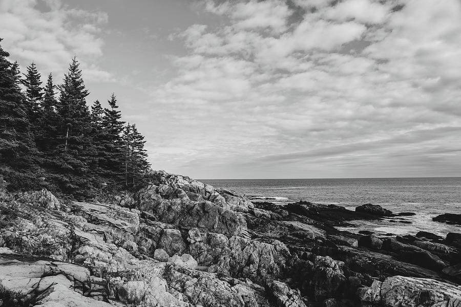 Acadia Coastline Black And White Photograph by Dan Sproul