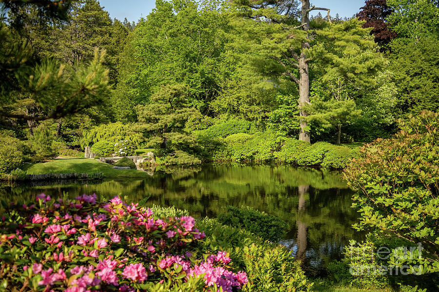 Acadia Gardens, Beauty in Nature Photograph by Sturgeon Photography Acadia Gardens, Beauty in Nature Photograph by Sturgeon Photography