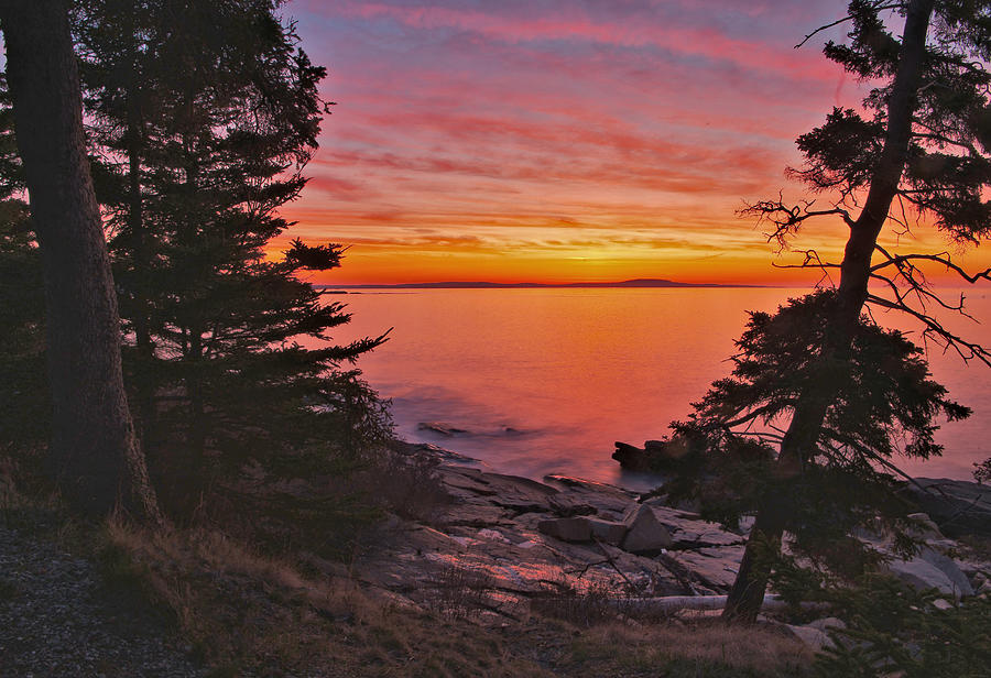 Acadia Glass Dawn Photograph by Stephen Vecchiotti