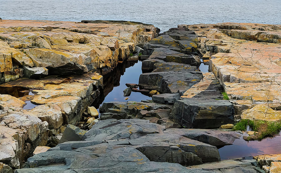 Acadia Granite Shoreline Photograph by Ron Long Ltd Photography