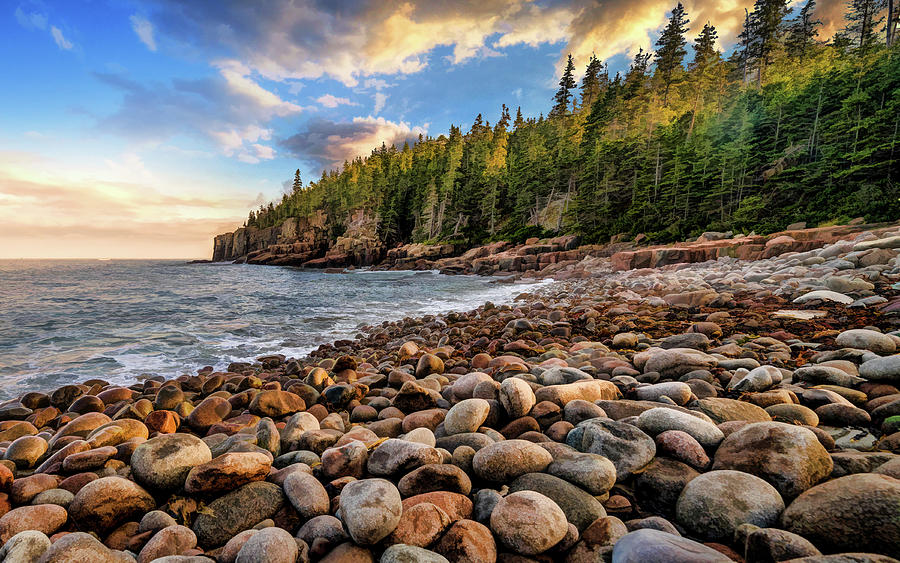 Acadia National Park Boulder Beach Painting by Christopher Arndt