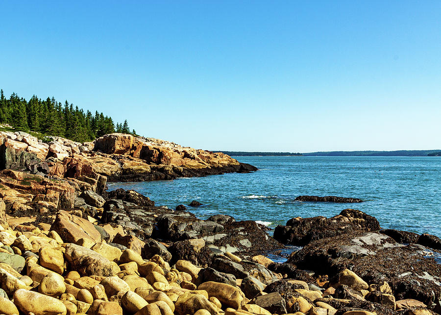 Acadia National Park Coast Photograph by Amelia Pearn