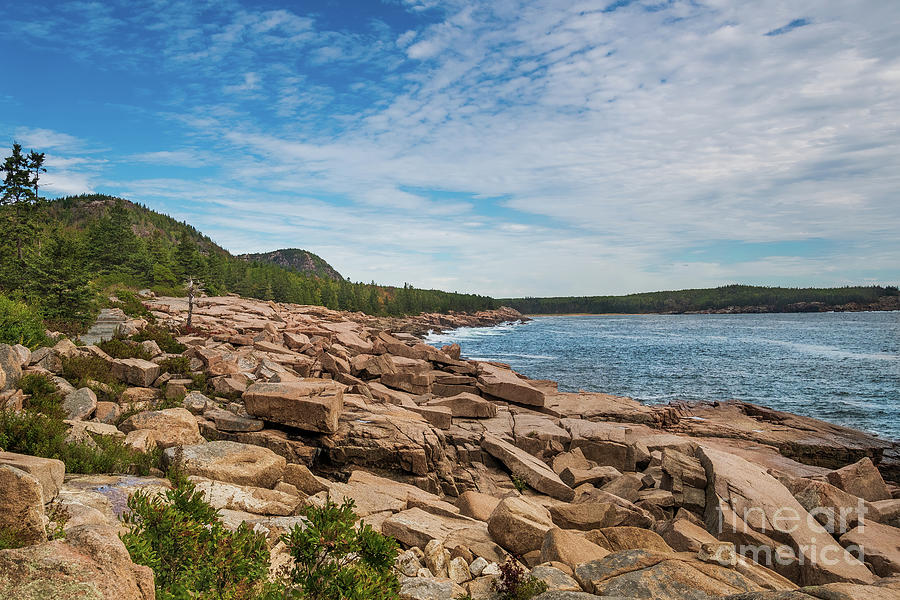 Acadia National Park Coastline, Maine Photograph by Sturgeon Photography