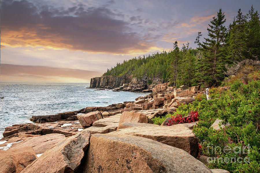 Acadia National Park Coastline Photograph by Sturgeon Photography