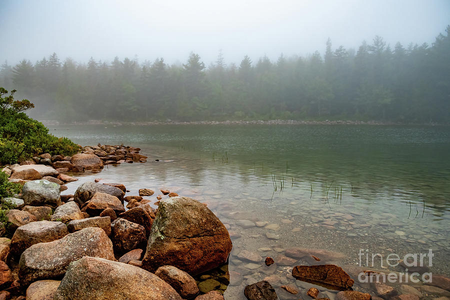 Acadia National Park - Jordan Pond Photograph by Sturgeon Photography