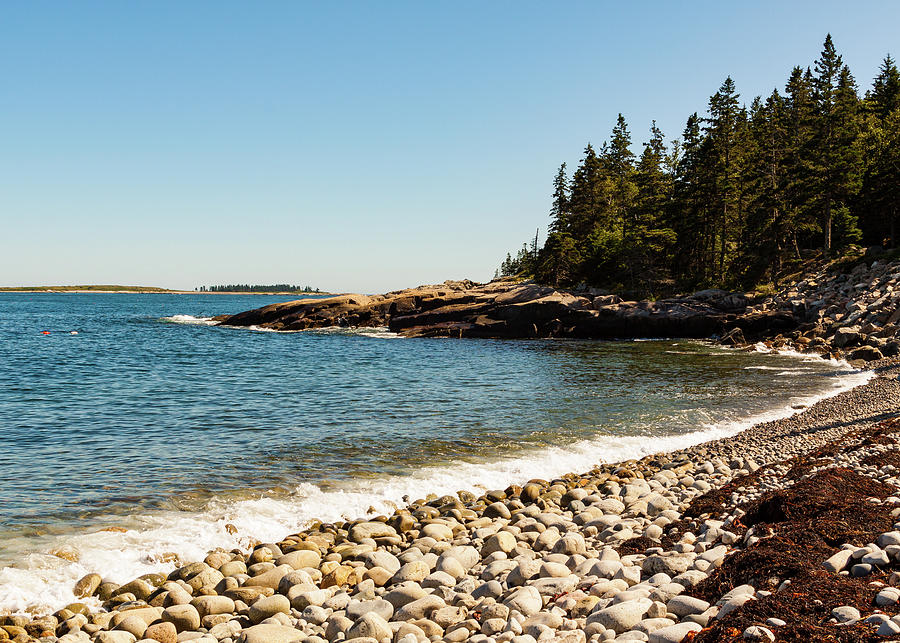 Acadia National Park Landscape Photography Photograph by Amelia Pearn