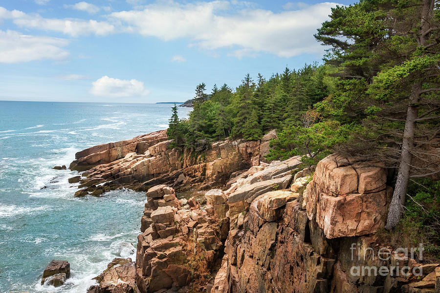Acadia National Park - Maine Coastline Photograph by Sturgeon Photography