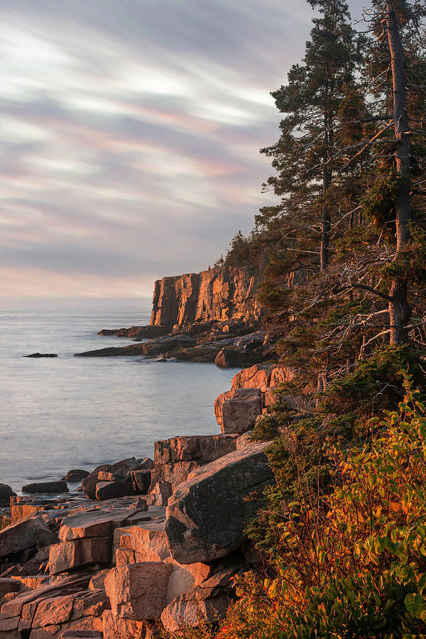 Acadia National Park Maine - Otter Cliffs Sunrise Photograph by Photos by Thom