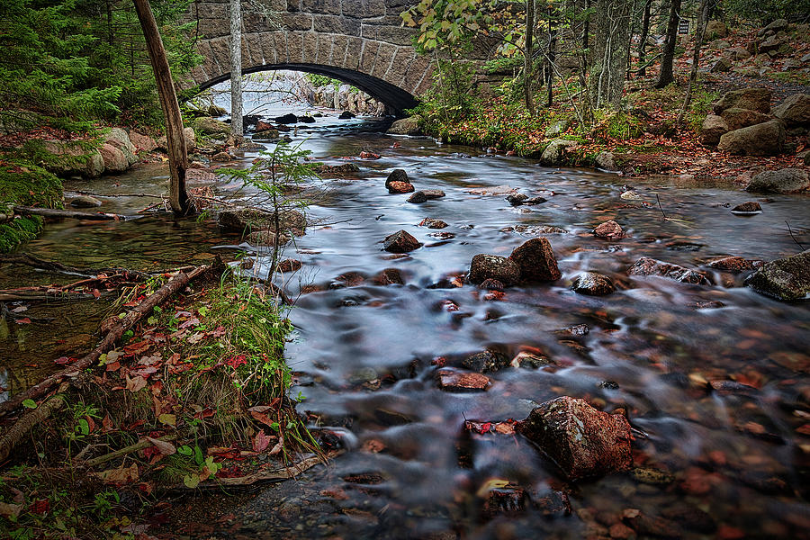 Acadia Park Stream Photograph by Jon Glaser