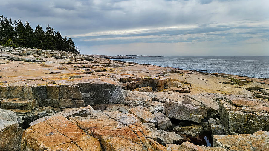 Acadia Pink Granite Shoreline Photograph by Ron Long Ltd Photography