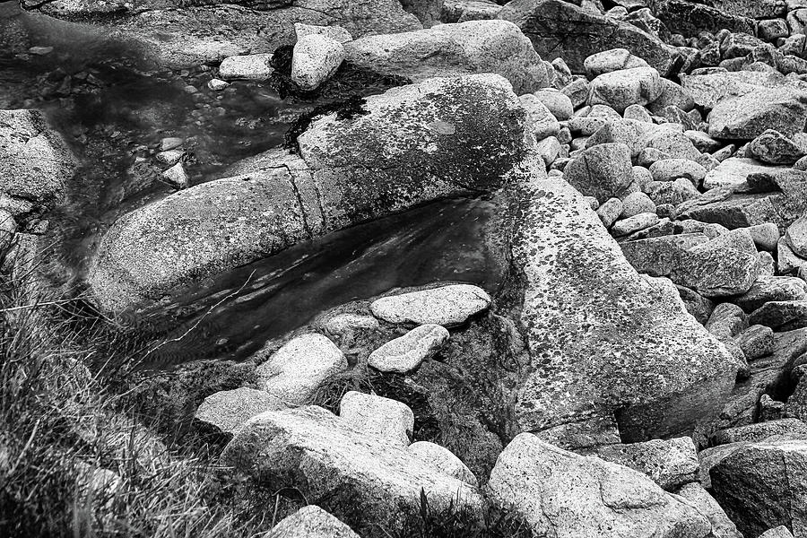 Acadia Rocks BW 102322 Photograph by Mary Bedy