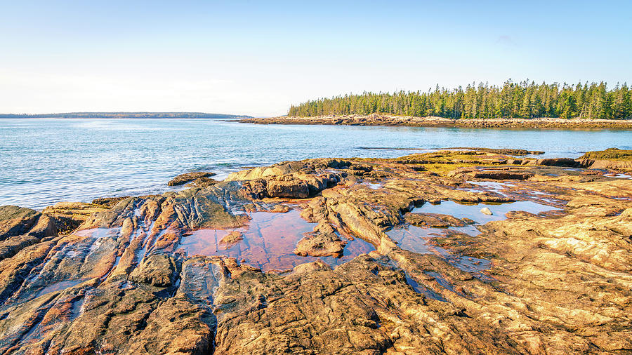 Acadia sea coast Photograph by Alexey Stiop