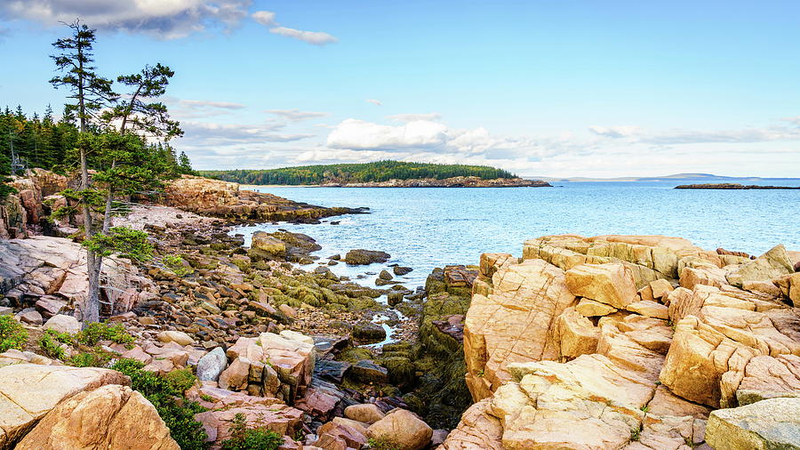 Acadia seashore Photograph by Alexey Stiop