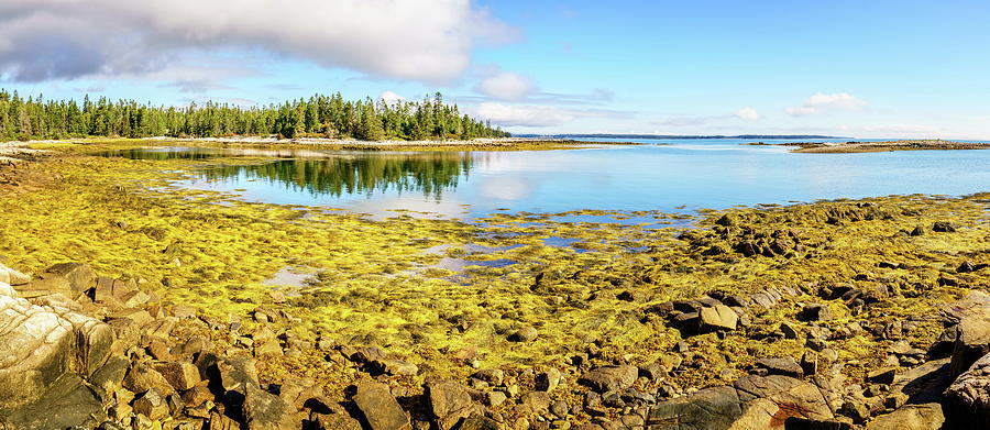 Acadia seashore panoramic Photograph by Alexey Stiop
