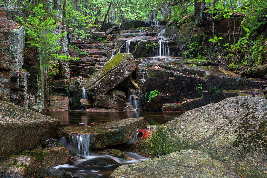 Fall Photograph - Acadia Singing Waterfall by White Mountain Images