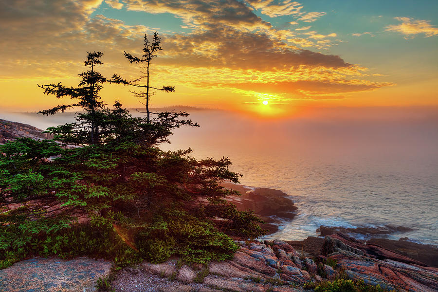 Acadia Sunrise 1675 Photograph by Greg Hartford