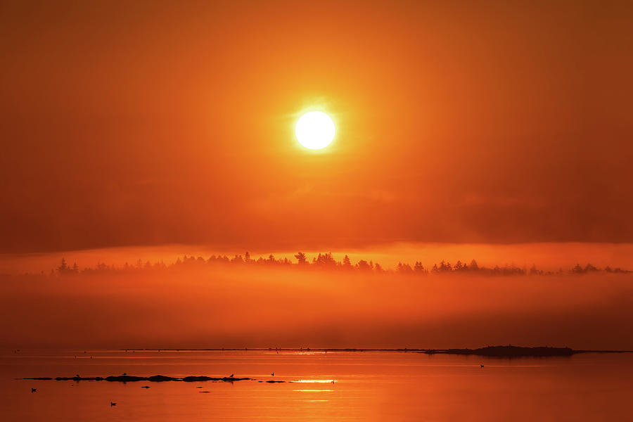 Acadia Sunrise 34A5839 Photograph by Greg Hartford