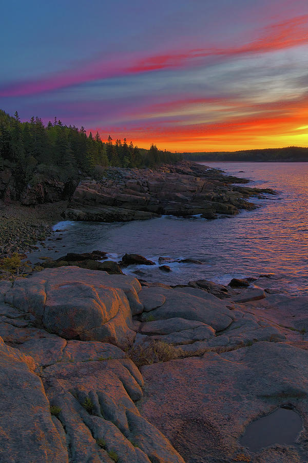 Acadia Sunrise 8 Photograph by Stephen Vecchiotti