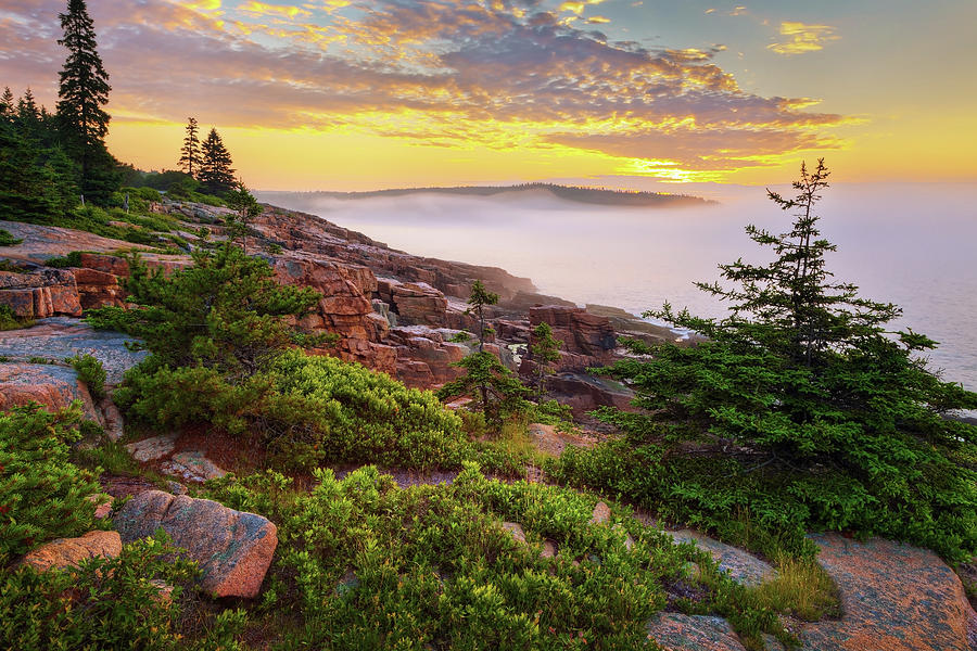 Acadia Sunrise 1651 Photograph by Greg Hartford