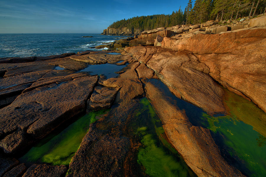 Acadia Tidal Pools Photograph by Stephen Vecchiotti