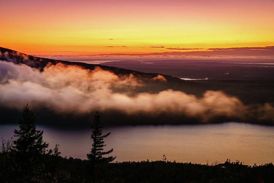 Acadia twilight Photograph by Alexey Stiop