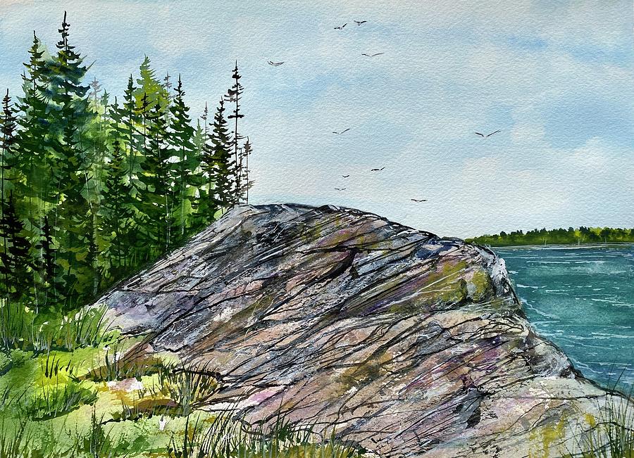 Acadias Rock Garden, Maine Painting by Kellie Chasse