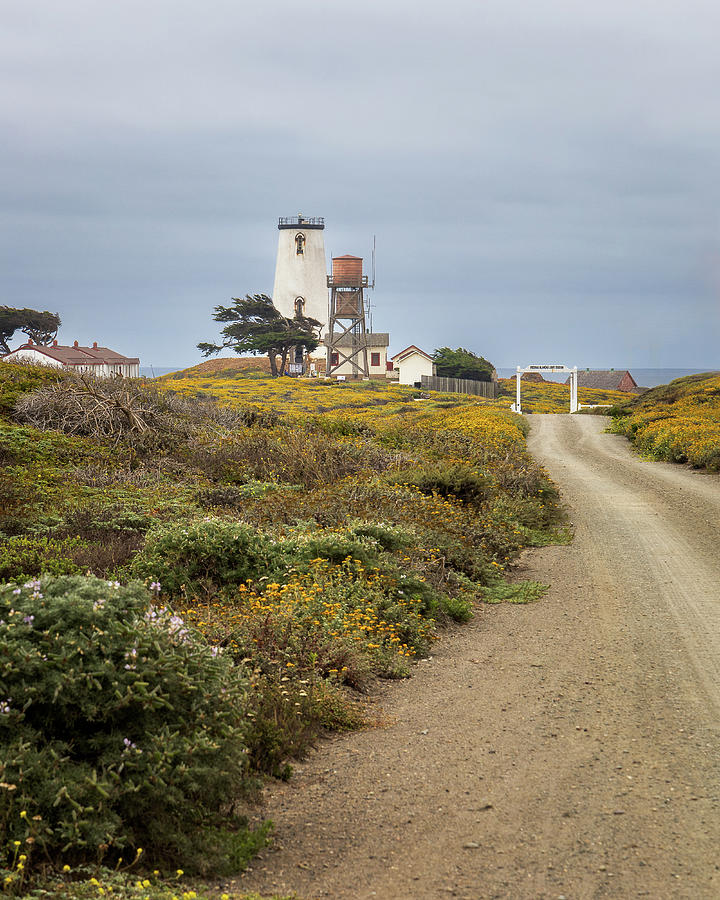 Access to Piedras Blancas Lighthouse Photograph by Lars Mikkelsen