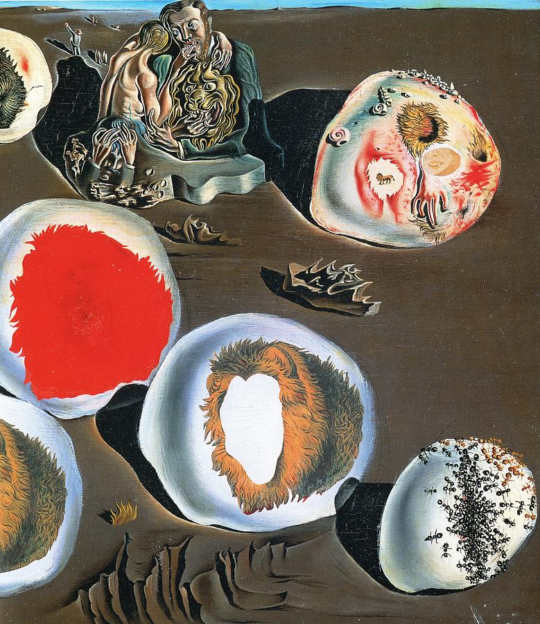 Dali: The Accommodations of Desire