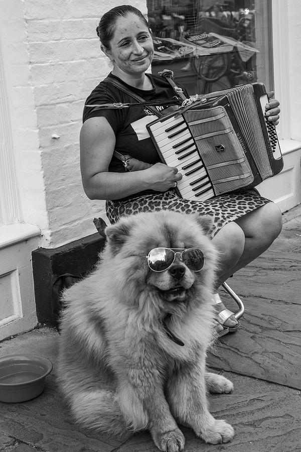 Accordion and Dog Cambridge England  Photograph by John McGraw