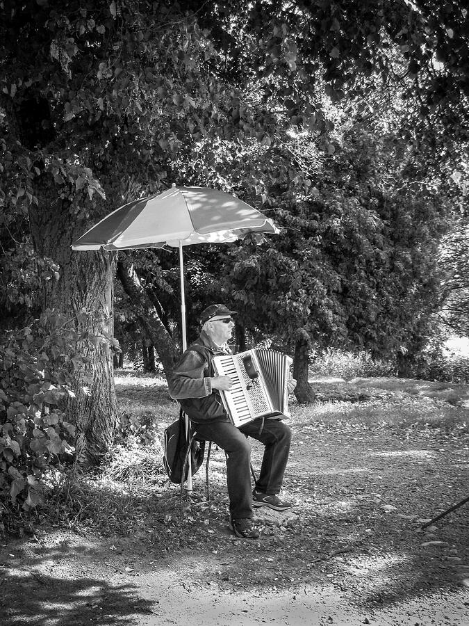 Accordion Player Lithuania Photograph by Mary Lee Dereske