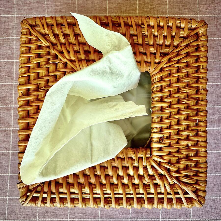 Achoo Grab a Tissue Photograph by Bill Swartwout Achoo Grab a Tissue Photograph by Bill Swartwout