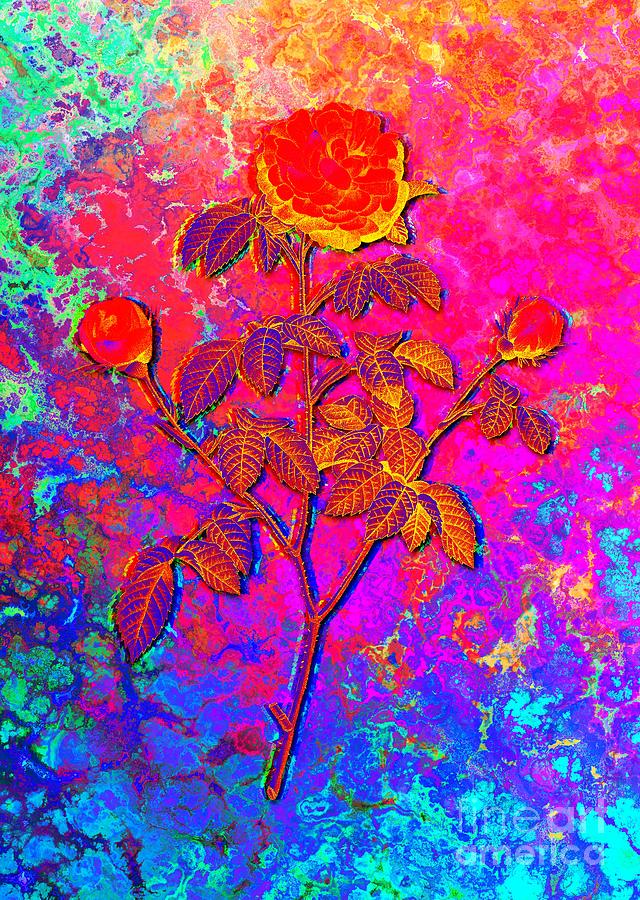 Acid Neon Agatha Rose in Bloom Botanical Art n.0295 Painting by Holy Rock Design