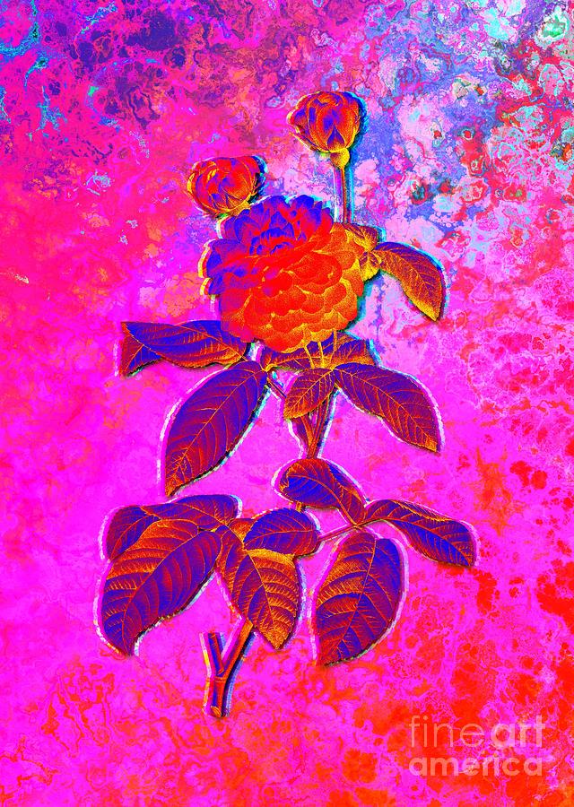 Acid Neon Agatha Rose In Bloom Botanical Art N.0741 Painting