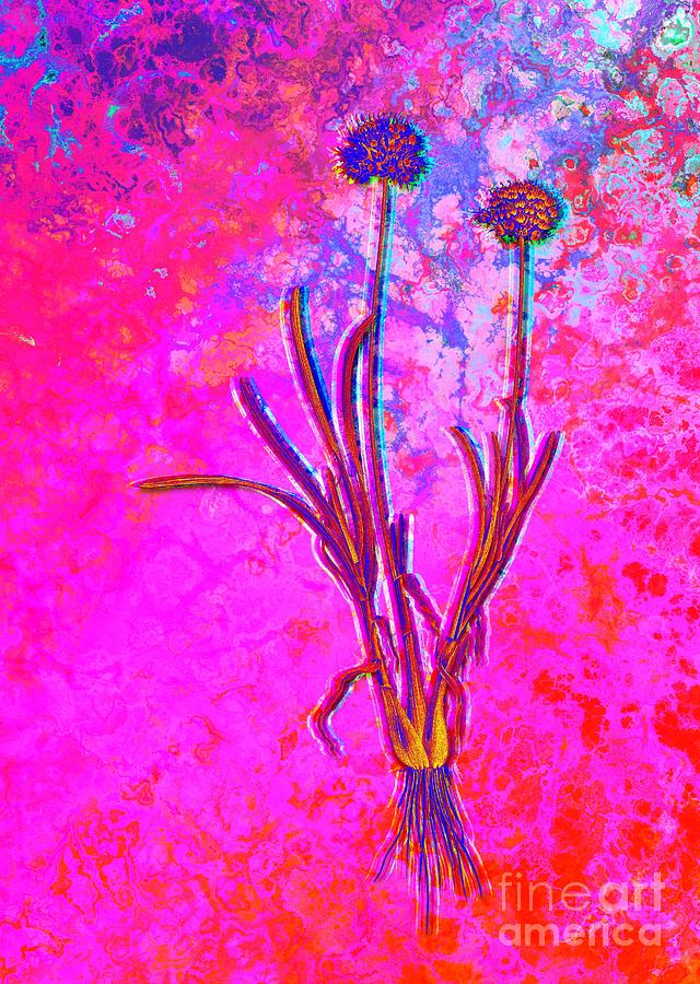 Acid Neon Allium Carolinianum Botanical Art N.0773 Painting