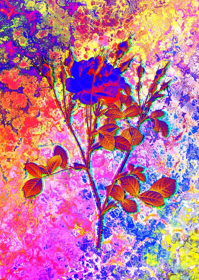 Acid Neon Anemone Flowered Sweetbriar Rose Botanical Art N.0853 Painting