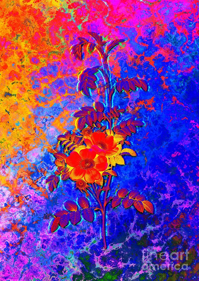 Acid Neon Blooming Alpine Rose Botanical Art N.0287 Painting