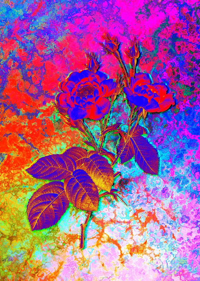 Acid Neon Blooming Anemone Centuries Rose Botanical Art n.0351 Painting by Holy Rock Design
