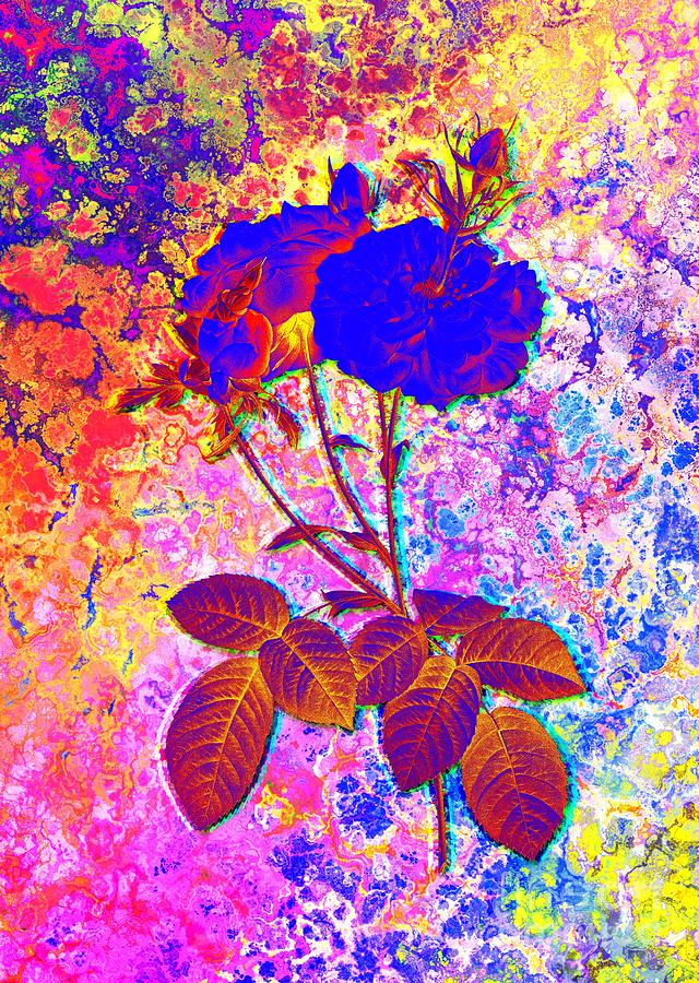 Acid Neon Blooming Damask Rose Botanical Art N.0665 Painting