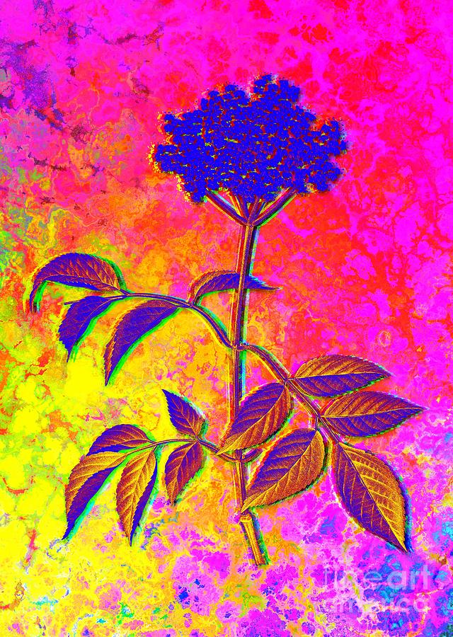 Acid Neon Blooming Elderflower Tree Botanical Art N.0639 Painting