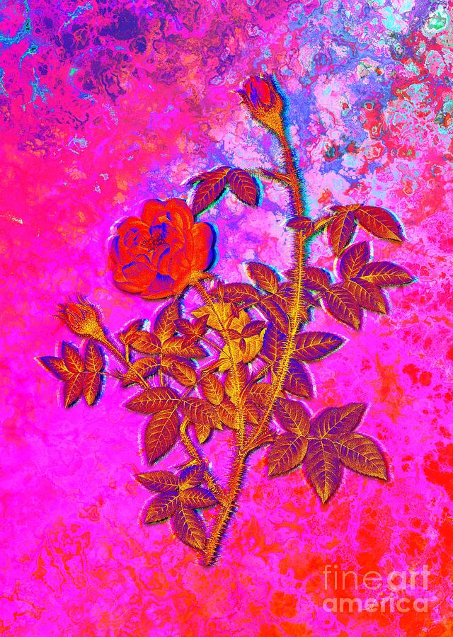 Acid Neon Blooming Moss Rose Botanical Art n.0317 Painting by Holy Rock Design