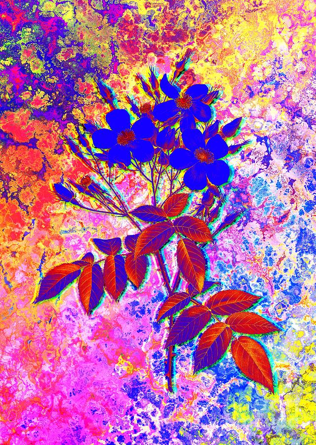 Acid Neon Blooming Musk Rose Botanical Art N.0609 Painting