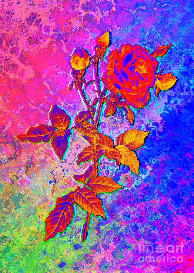 Acid Neon Blooming Provence Rose Botanical Art N.0571 Painting