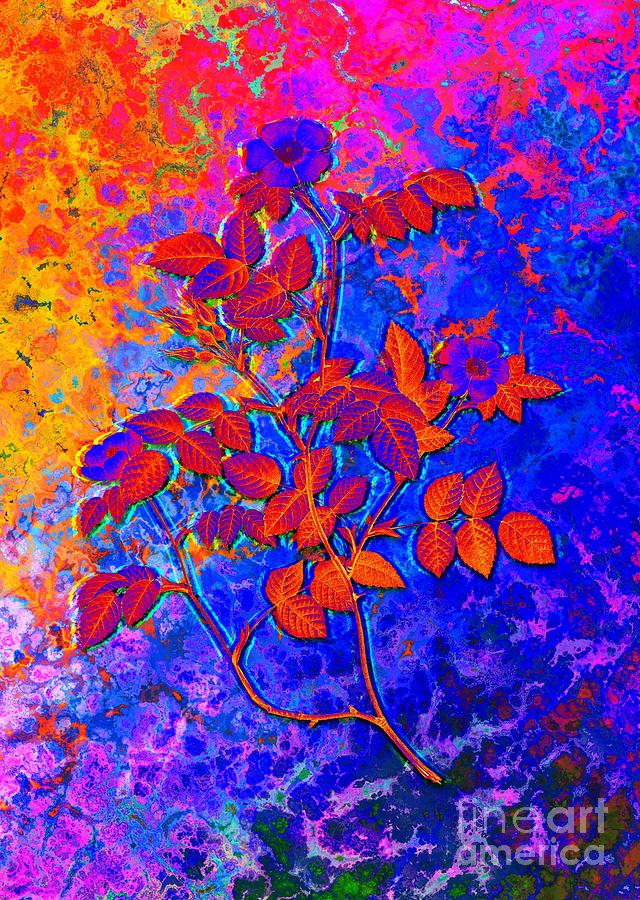 Acid Neon Blooming Sweetbriar Rose Botanical Art N.0005 Painting