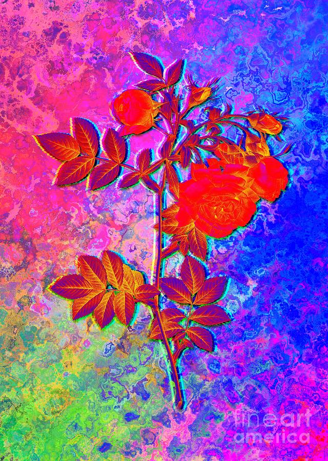 Acid Neon Blooming Turnip Roses Botanical Art N.0415 Painting