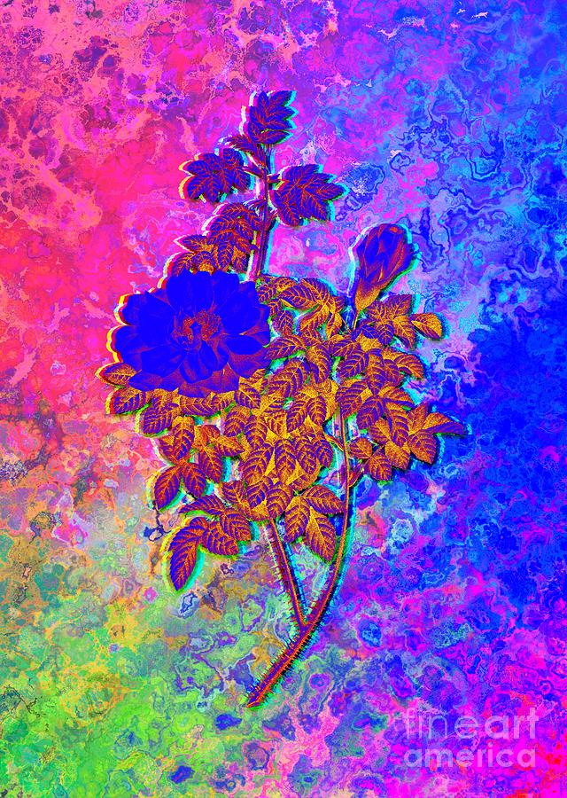 Acid Neon Blooming Ventenats Rose Botanical Art N.0623 Painting